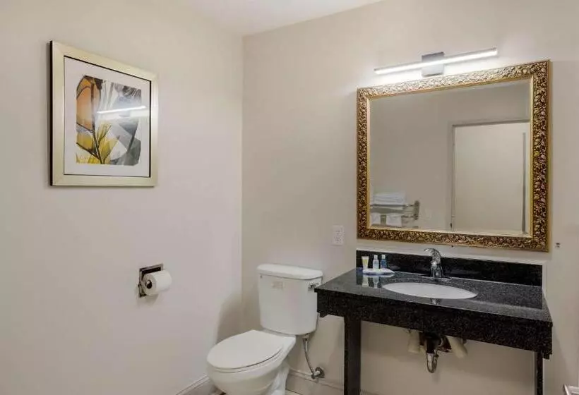 身障者適用スイートルーム, Comfort Inn & Suites Mt. Laurelphiladelphia