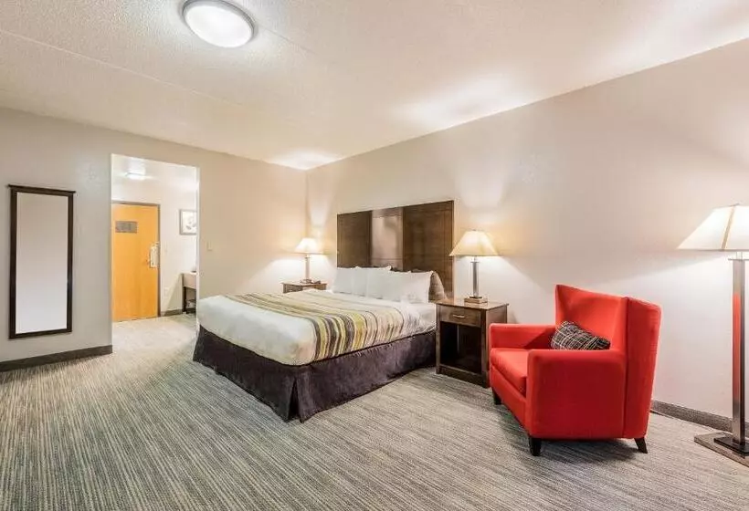 キングサイズベッドのスタンダードルーム, Country Inn & Suites By Radisson, Cookeville, Tn