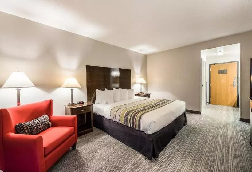 キングサイズベッドのスタンダードルーム, Country Inn & Suites By Radisson, Cookeville, Tn
