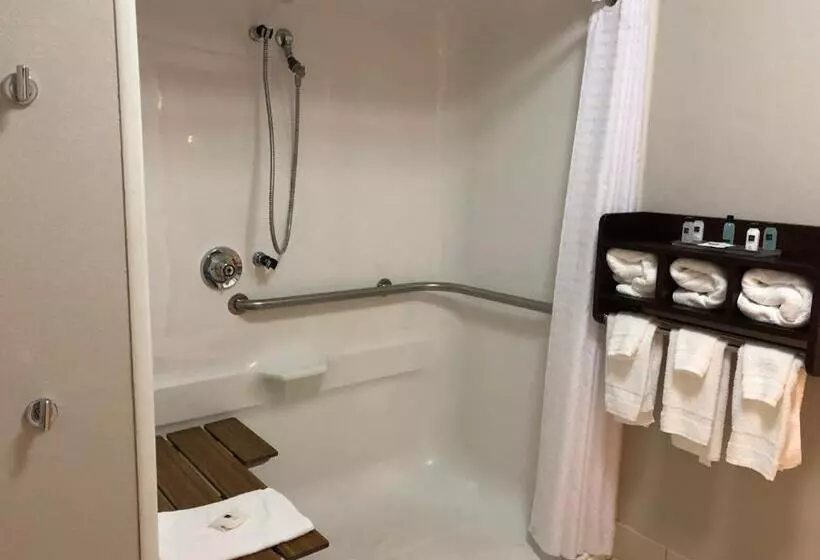 身障者適用キングサイズベッドルーム, Country Inn & Suites By Radisson, Cookeville, Tn