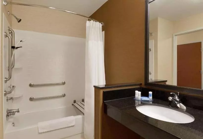 اتاق استاندارد با تخت بزرگ, Fairfield Inn & Suites Bismarck North