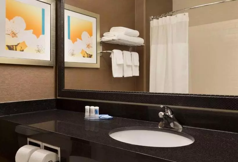 اتاق استاندارد با تخت بزرگ, Fairfield Inn & Suites Bismarck North