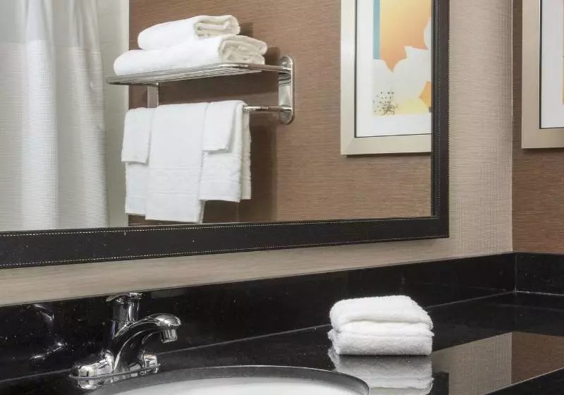 キングサイズベッドのスタンダードルーム, Fairfield Inn & Suites Greeley