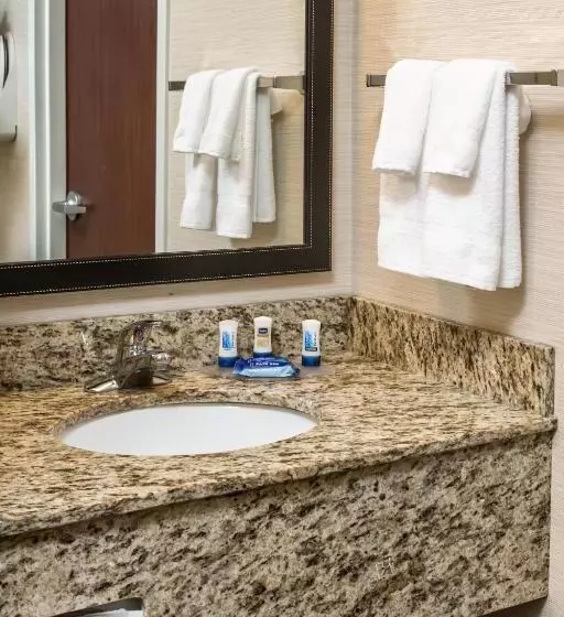 身障者適用スタンダードルーム, Fairfield Inn & Suites Jacksonville Airport