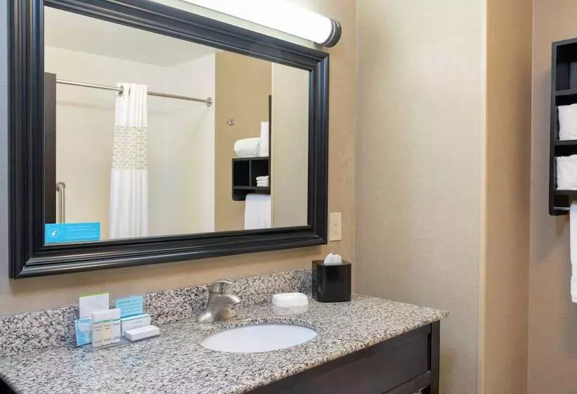 اتاق استاندارد, Hampton Inn & Suites Saginaw