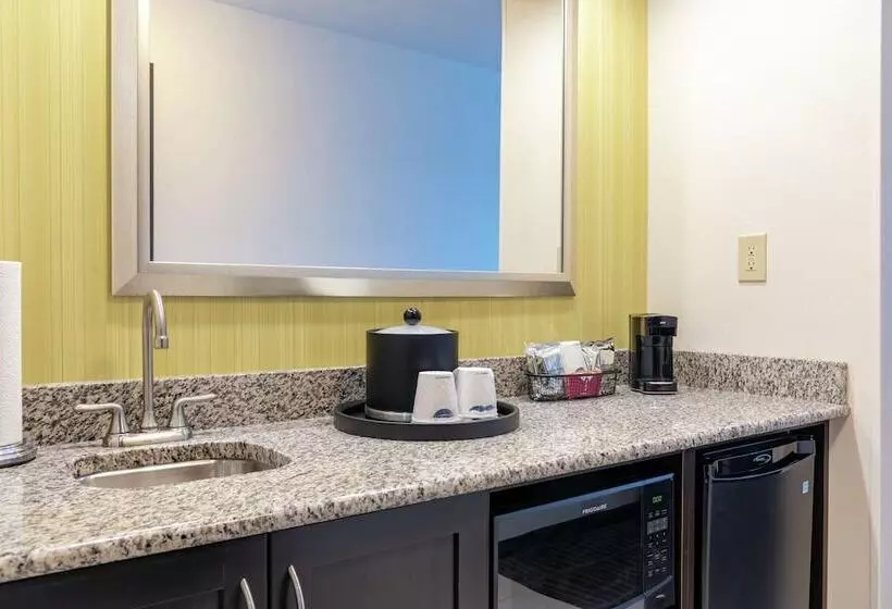 اتاق استاندارد, Hampton Inn & Suites Saginaw
