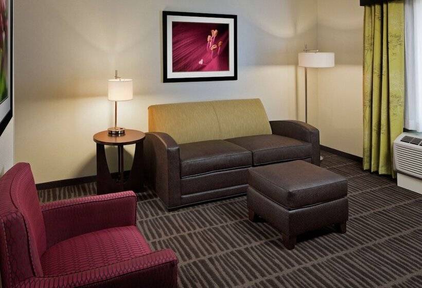 Номер Стандарт, Hampton Inn & Suites Saginaw