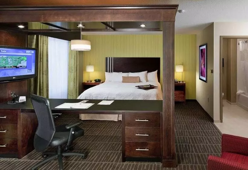 اتاق استاندارد, Hampton Inn & Suites Saginaw