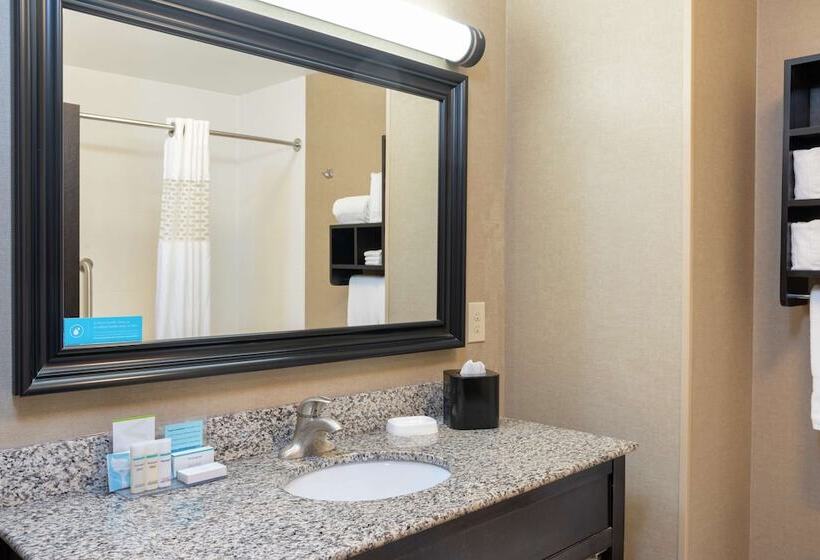 Люкс, Hampton Inn & Suites Saginaw