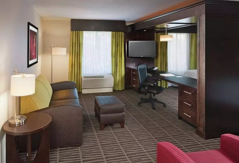 سوییت, Hampton Inn & Suites Saginaw
