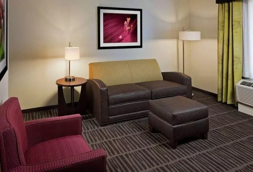 سوییت, Hampton Inn & Suites Saginaw