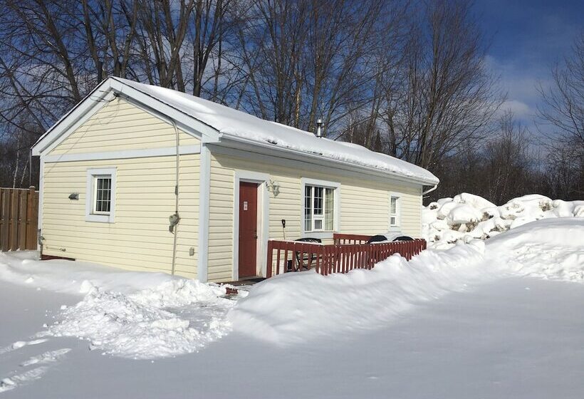 منزل غرفتين نوم, Lakeshore Suites