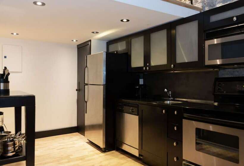 デラックスルーム, Lofts Du Vieuxport