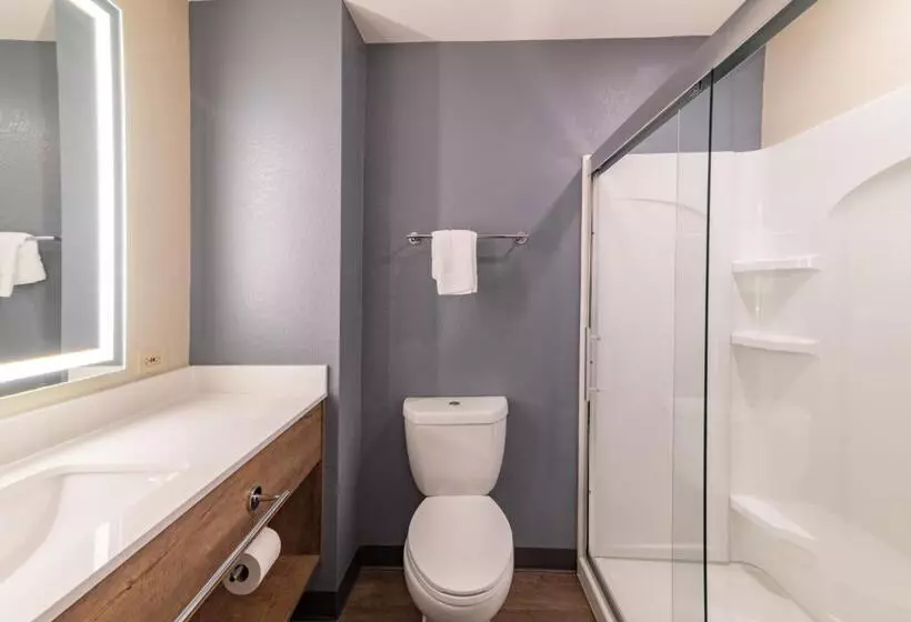 キングサイドベッドのスタンダードワンルーム, Extended Stay America Premier Suites  Nashville  Vanderbilt