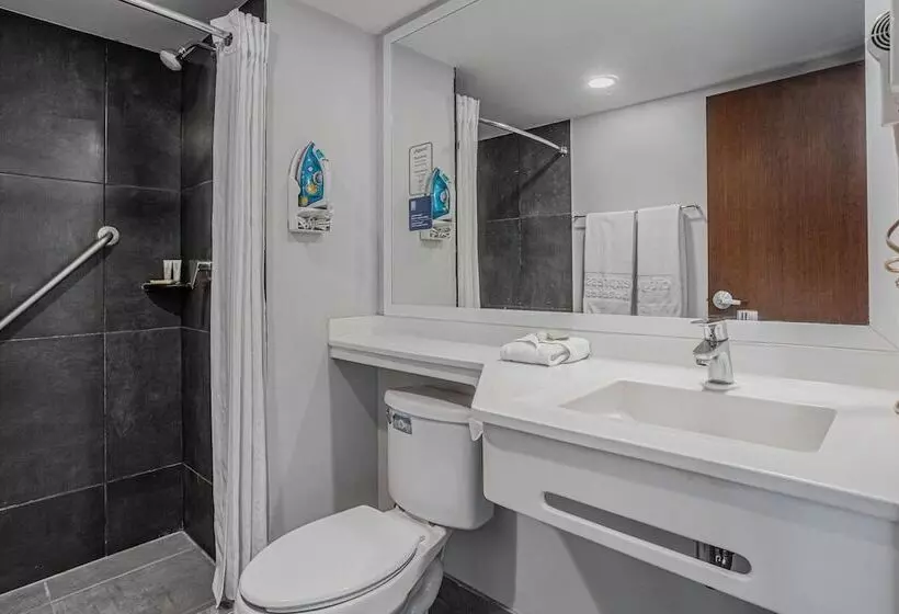 اتاق استاندارد با 2 تخت دوبل, City Express By Marriott Durango