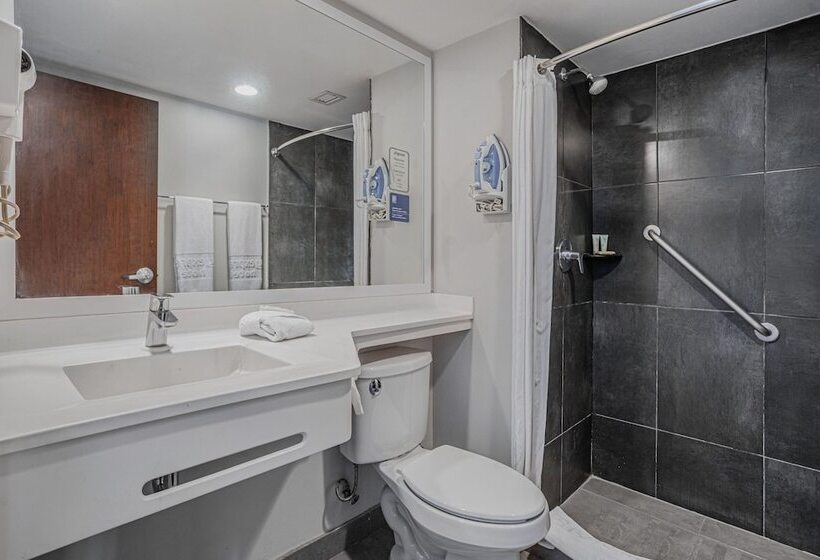 חדר סטנדרט שתי מיטות זוגיות, City Express By Marriott Durango