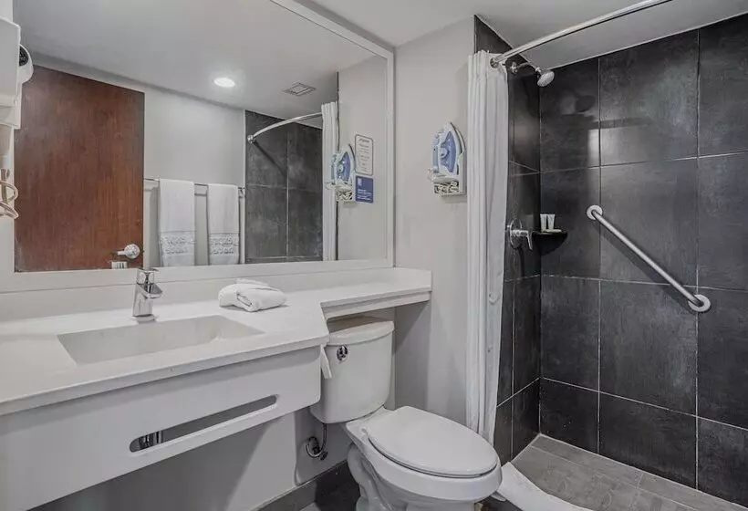 اتاق استاندارد با 2 تخت دوبل, City Express By Marriott Durango