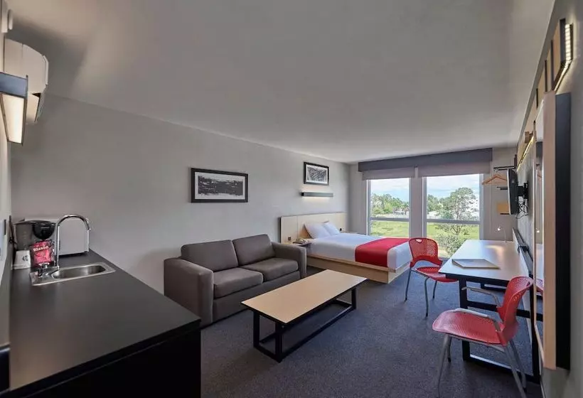 اتاق استاندارد با 2 تخت دوبل, City Express By Marriott Durango