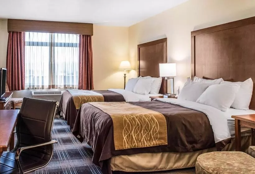 ２ダブルベッドのスタンダードルーム, Comfort Inn & Suites Sheridan