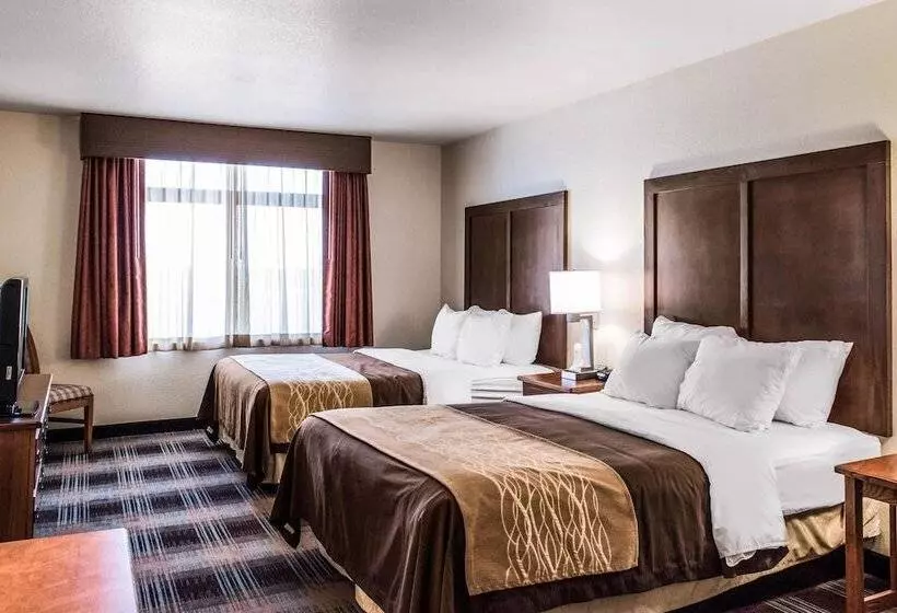 ２ダブルベッドのスタンダードルーム, Comfort Inn & Suites Sheridan