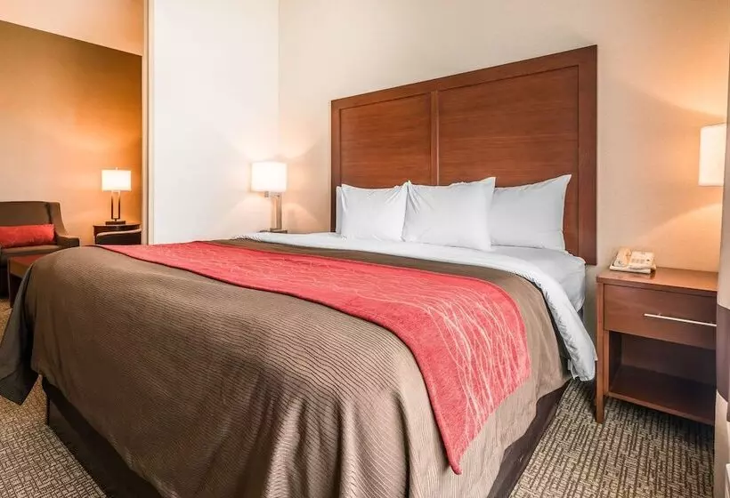 Sviitti Liikuntarajoitteisille, Comfort Inn & Suites