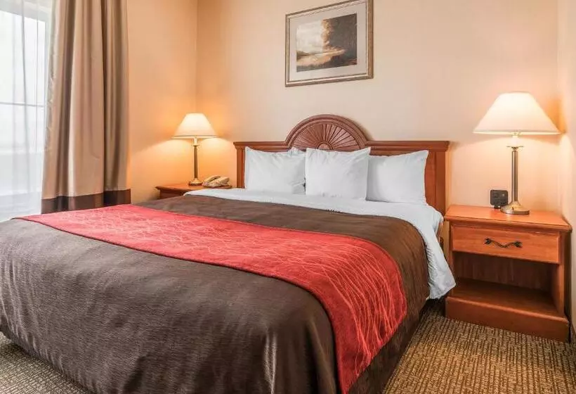 Standard-huone King-vuode, Comfort Inn & Suites