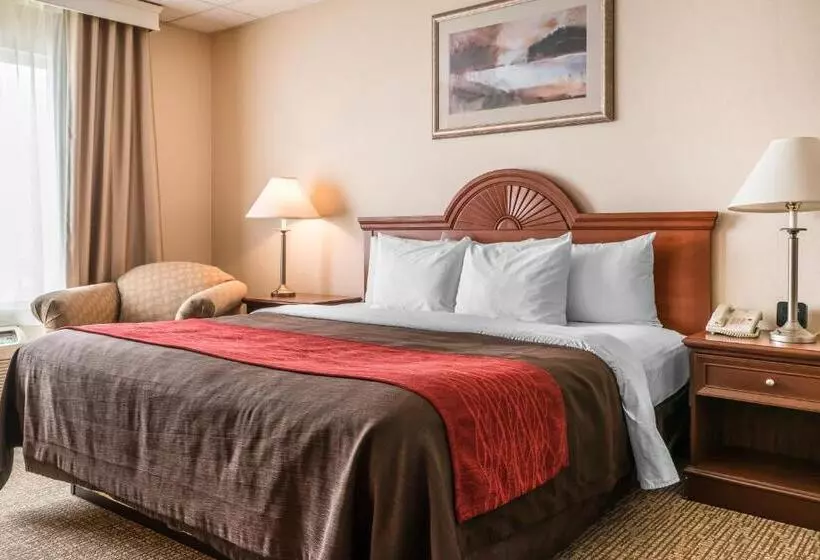 Standard-huone King-vuode, Comfort Inn & Suites