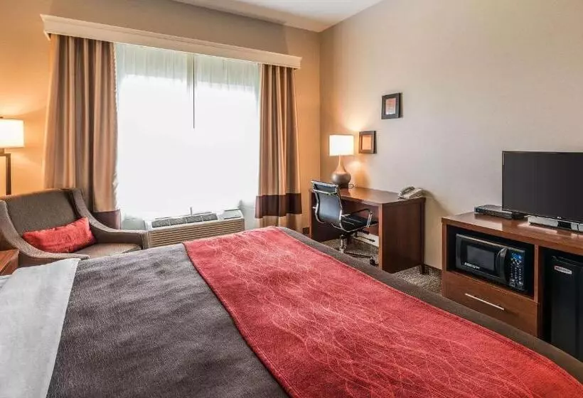 Standard-huone King-vuode, Comfort Inn & Suites