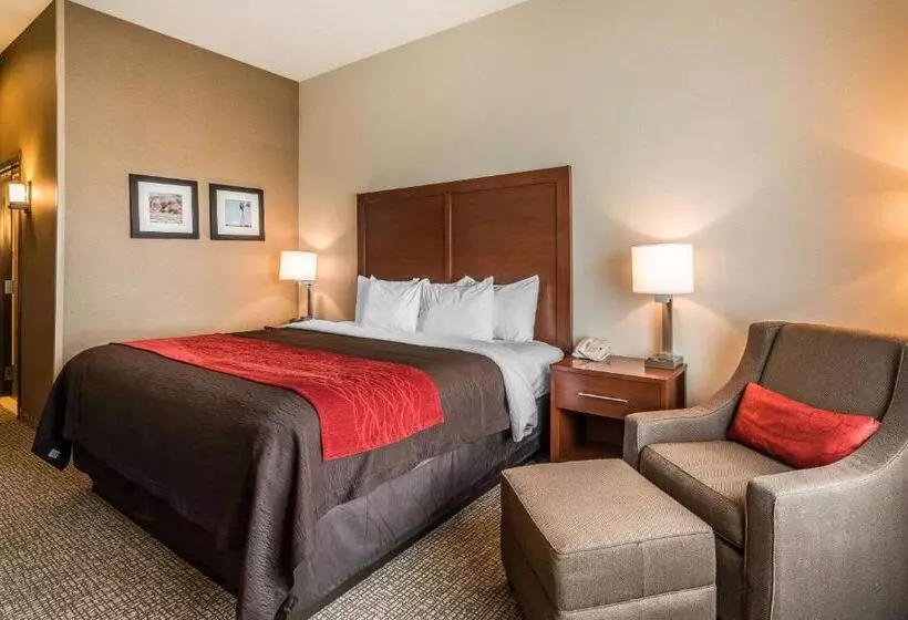 Standard-huone King-vuode, Comfort Inn & Suites