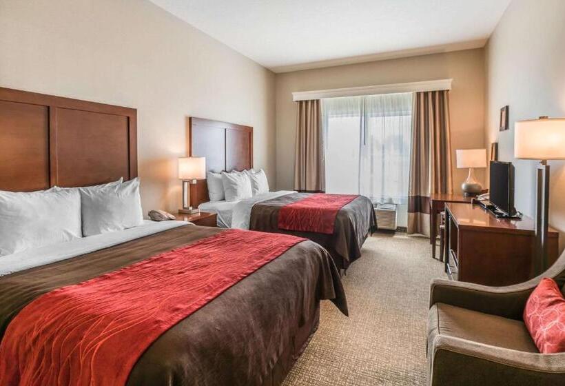 غرفة قياسية, Comfort Inn & Suites