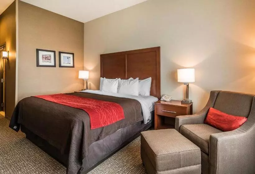 Sviitti King-vuode, Comfort Inn & Suites