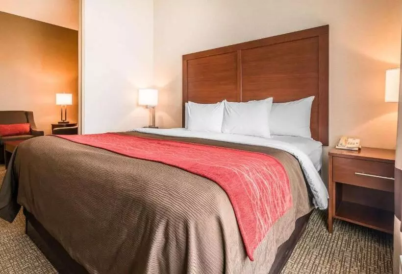 Sviitti King-vuode, Comfort Inn & Suites