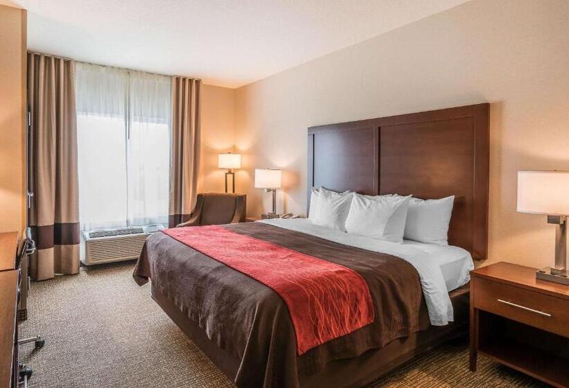 غرفة قياسية سرير كينج لذوى الإحتياجات الخاصة, Comfort Inn & Suites