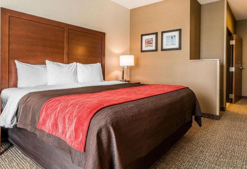 Номер Стандарт Кровать Кинг Адаптированный для Инвалидов, Comfort Inn & Suites