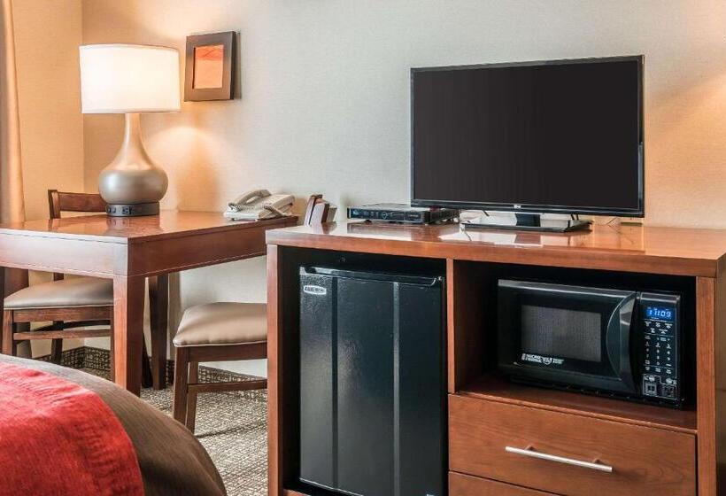 Номер Стандарт Адаптированный для Инвалидов, Comfort Inn & Suites