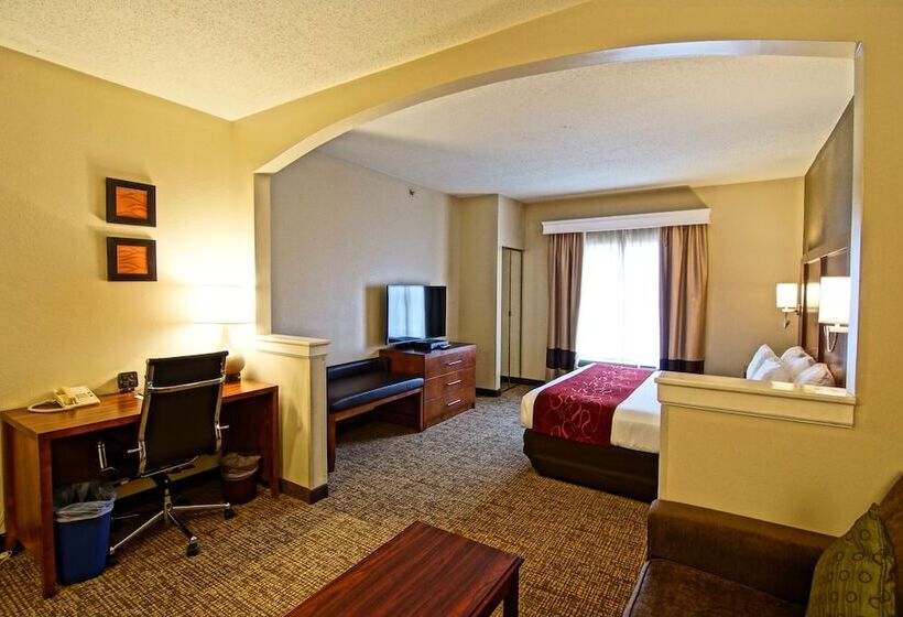 Люкс, Comfort Suites Near University