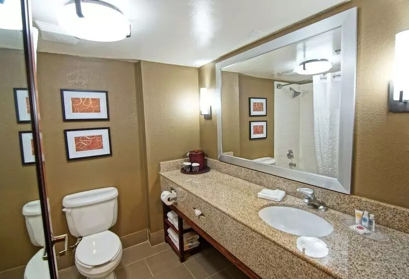 身障者適用スイートルーム, Comfort Suites Near University