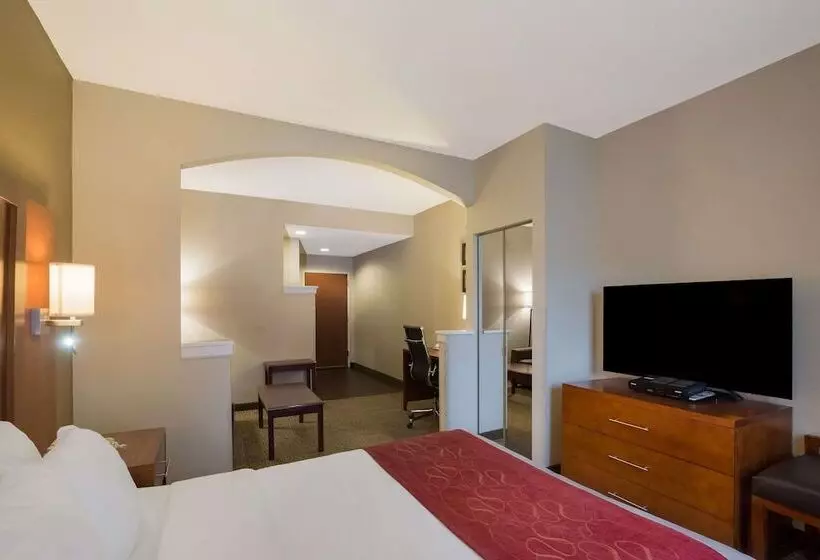 身障者適用スイートルーム, Comfort Suites Near University