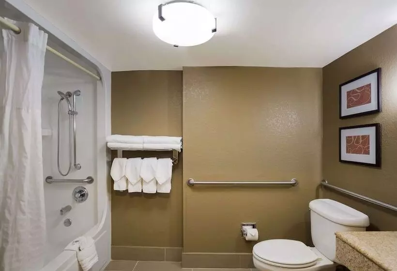 身障者適用スイートルーム, Comfort Suites Near University