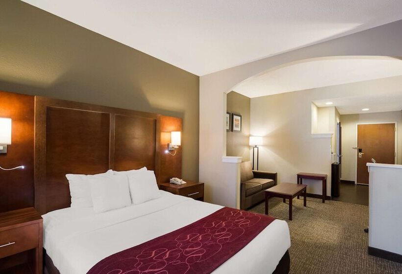 جناح لذوى الاحتياجات الخاصة, Comfort Suites Near University