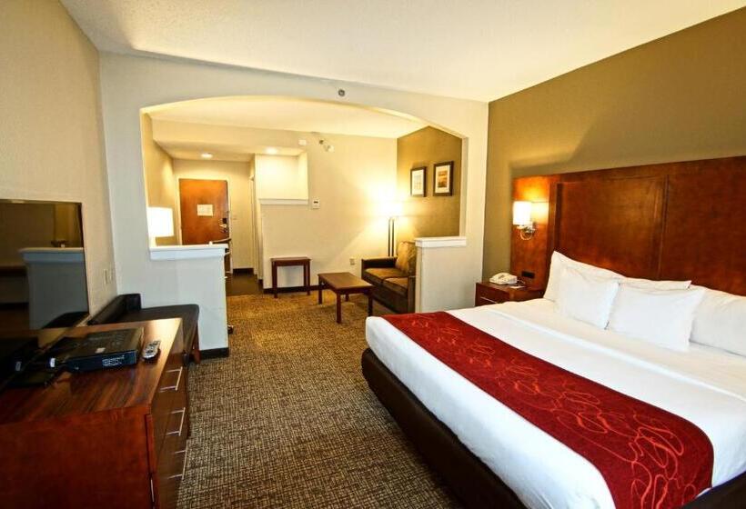 스위트 킹사이즈 침대, Comfort Suites Near University