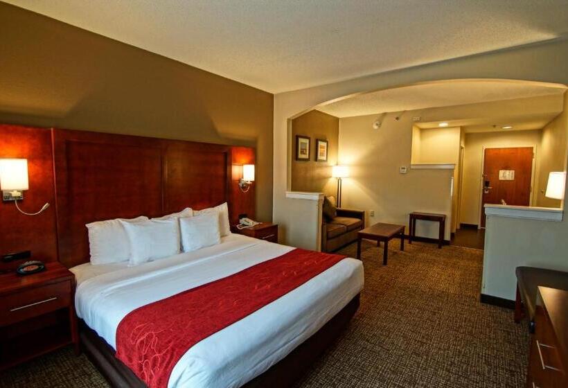 스위트 킹사이즈 침대, Comfort Suites Near University