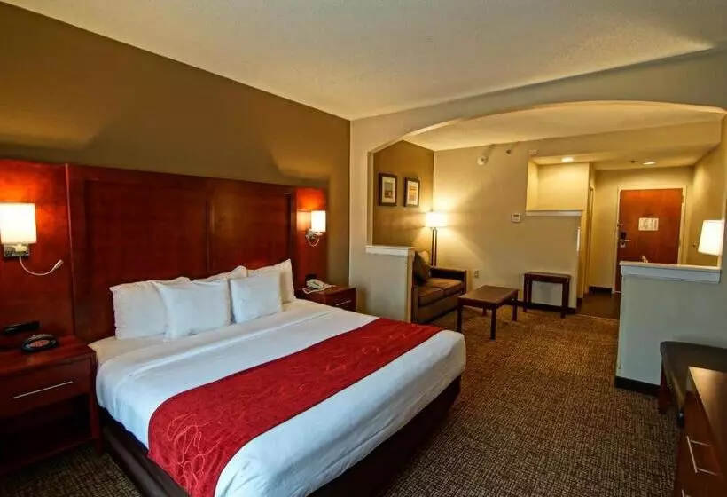 キングサイズベッドのスイートルーム, Comfort Suites Near University