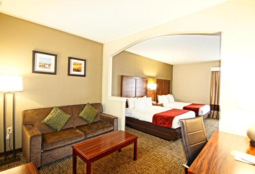 스위트, Comfort Suites Near University