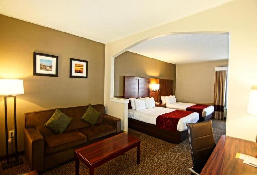 스위트, Comfort Suites Near University
