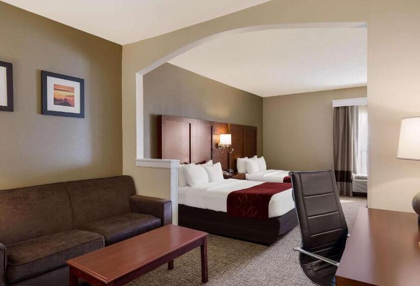 스위트, Comfort Suites Near University