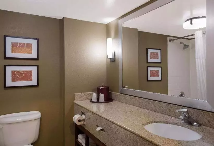 キングサイズベッドのスタンダードルーム, Comfort Suites Near University