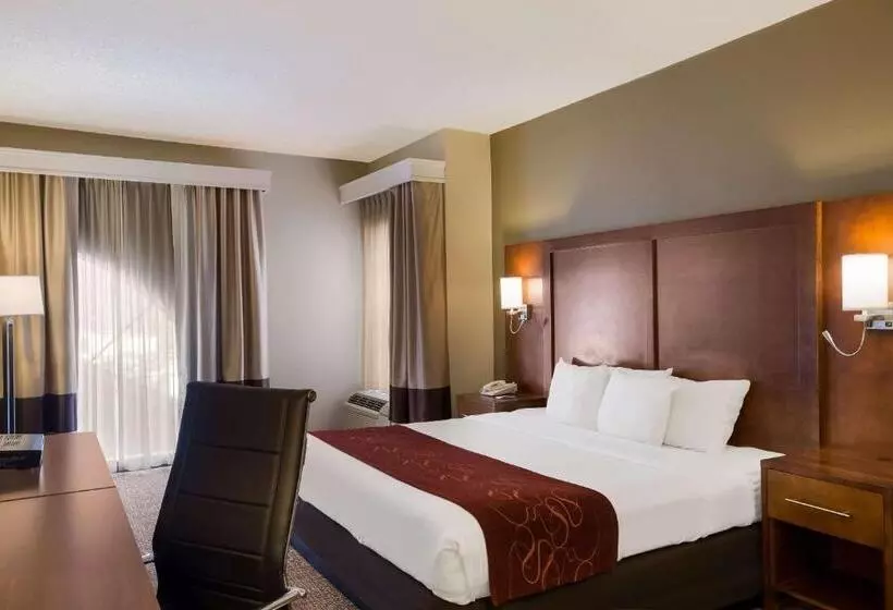 キングサイズベッドのスタンダードルーム, Comfort Suites Near University
