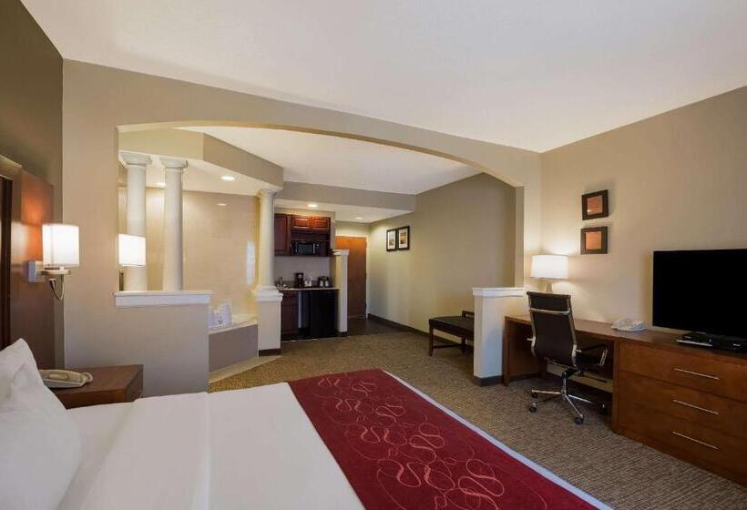 Люкс Кровать Кинг, Comfort Suites Near University