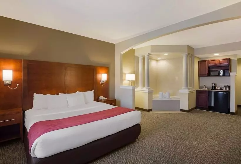 スイート, Comfort Suites Near University